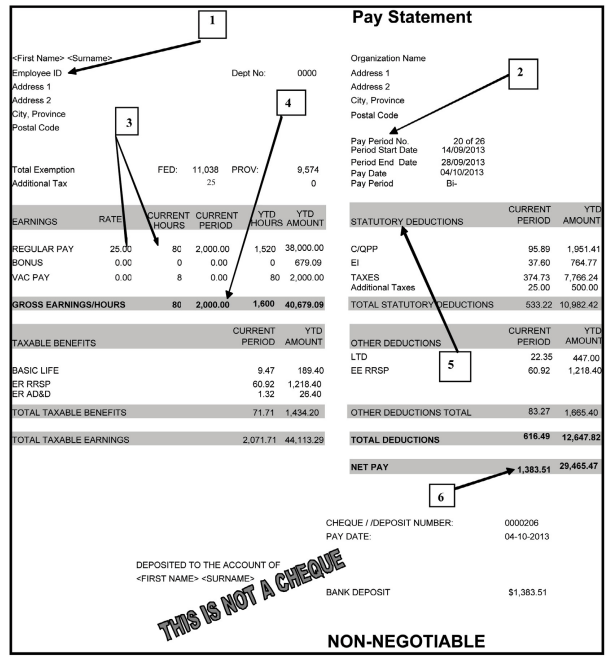 pay statement